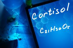 cortisol chemical formula